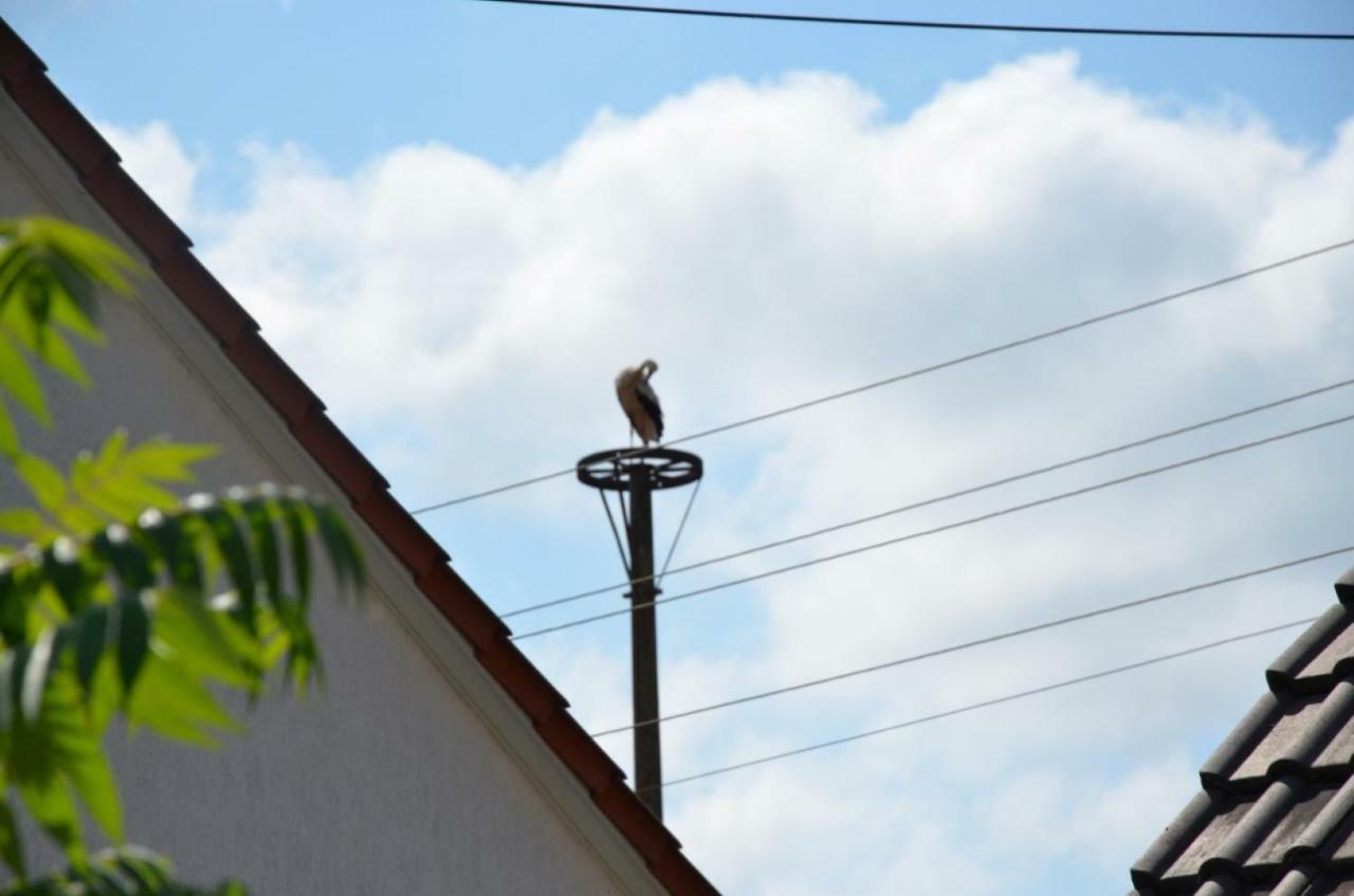 Appartamento Storchennest An Der Spree In Radinkendorf Beeskow Esterno foto
